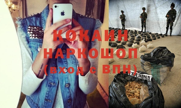 соль ск Богданович