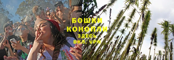 ALPHA PVP Богородск