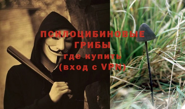 прущий лед Богородицк