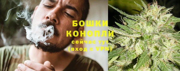 ALPHA PVP Богородск