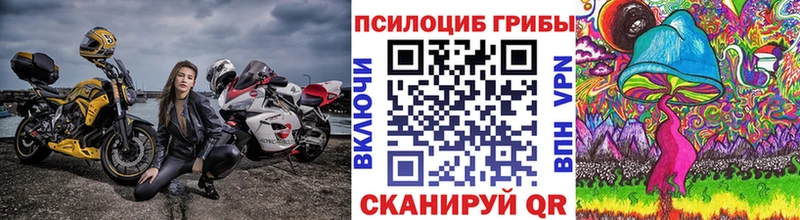 Купить где Можайск Галлюциногенные грибы MAGIC MUSHROOMS
